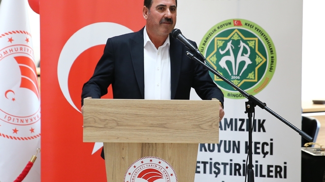 Galeri