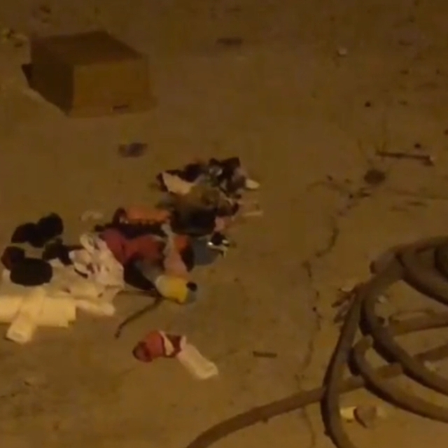 Hatay'da konteyner evde çekmeceden çıkan yılan korkuttu