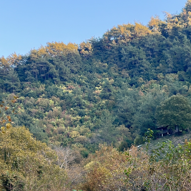Hatay'da sonbahar renkleri hakim oldu