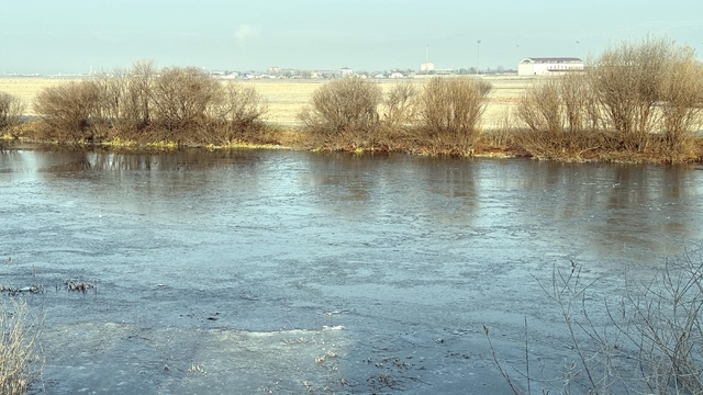 Kars ve Ardahan'da soğuk hava yaşamı olumsuz etkiliyor