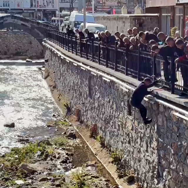 Bitlis'te dereye düşen kekliği mahalleli kurtardı