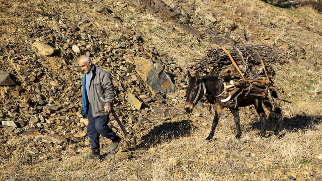 Sonbahar renklerine bürünen Bitlis'in köyleri fotoğrafçıları ağırladı
