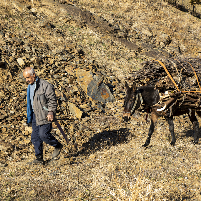 Sonbahar renklerine bürünen Bitlis'in köyleri fotoğrafçıları ağırladı