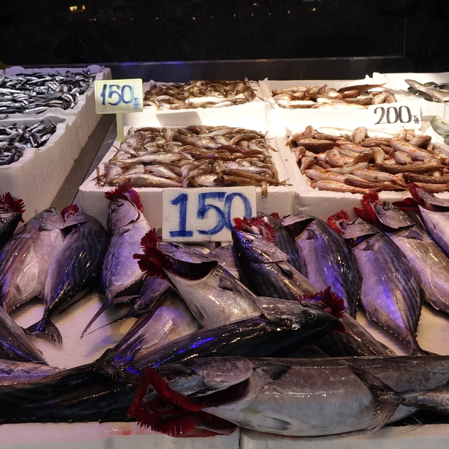 Balık tezgahlarında iri hamsi umudu