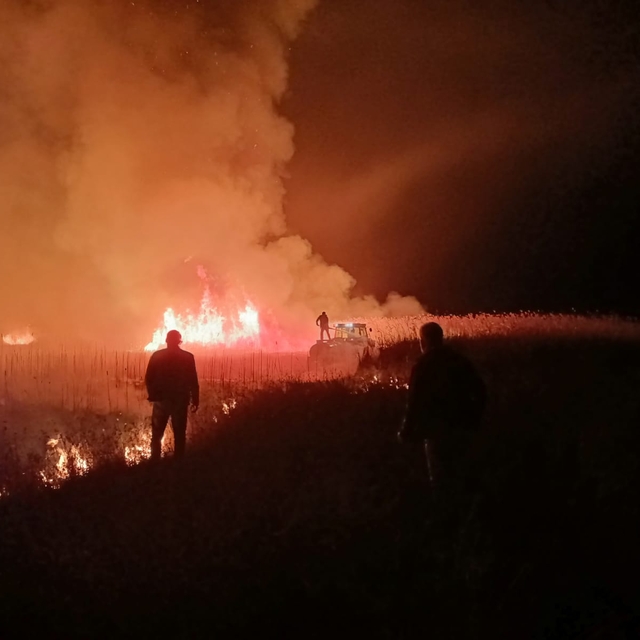 Kayseri'deki Sultan Sazlığı Milli Parkı'nda çıkan yangın söndürüldü