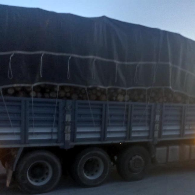 Bolu'da ormanda kaçak ağaç kesiminde 4 tutuklama