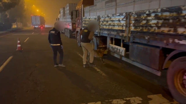 TIR'daki uyuşturucuyu narkotik köpeği 'Linda' buldu