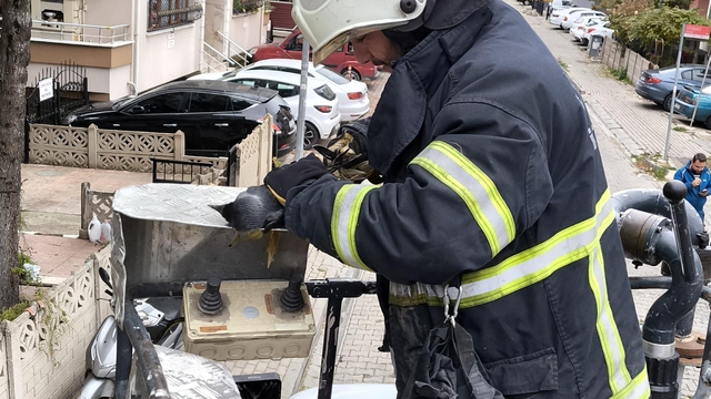 Kırklareli'nde ayağı ipe dolanıp ağaçta mahsur kalan karga kurtarıldı