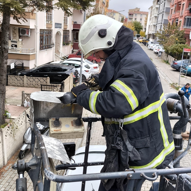 Kırklareli'nde ayağı ipe dolanıp ağaçta mahsur kalan karga kurtarıldı