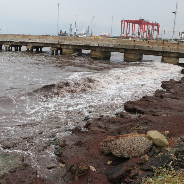 Tekirdağ'da poyraz nedeniyle sahilde kırmızı yosun birikti