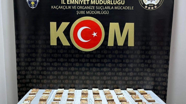 Edirne'de beyan dışı döviz ele geçirildi; 4 gözaltı