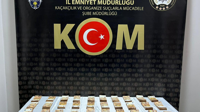 Edirne'de bir otomobilde yasa dışı yollarla yurt dışına çıkarılmaya çalışılan döviz ele geçirildi