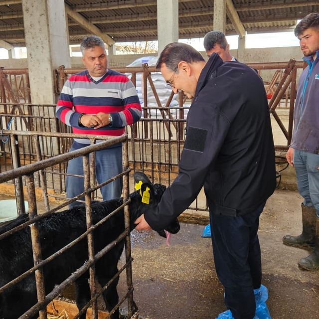 AK Parti'li Dönmez, Eskişehir Büyükşehir Belediyesinin mezbaha kurmamasını...