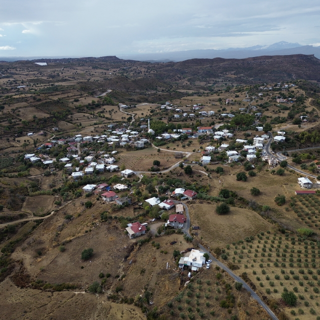 Manavgat'ta yanan alanlar yeniden sonbahar renklerine büründü
