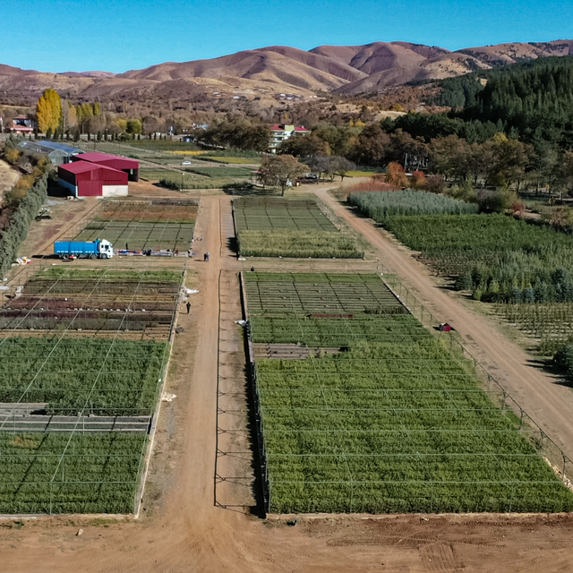 Doğu'da yetiştirilen 87 farklı türdeki milyonlarca fidan ülkeye nefes oluyo...