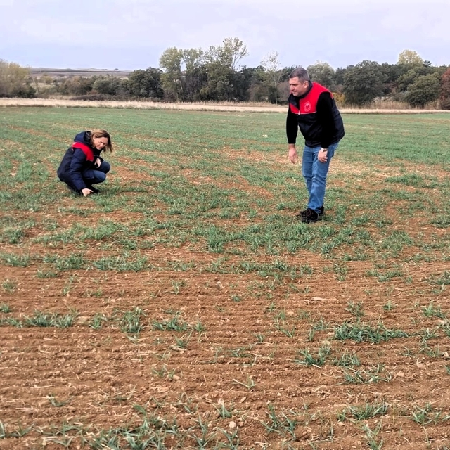 Kırklareli'nden kısa kısa