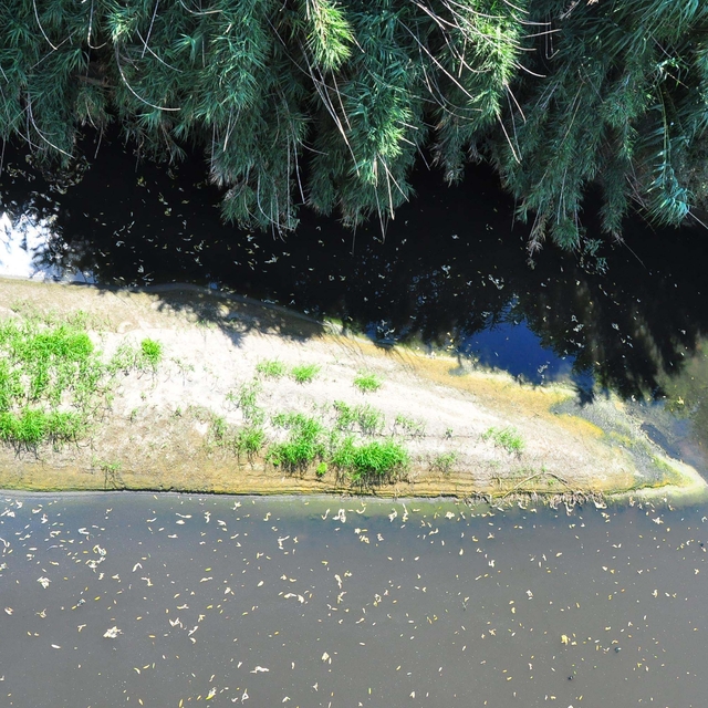 'Turgutlu'da oluşan kirlilik hem Manisa'yı hem İzmir'i kirletiyor'