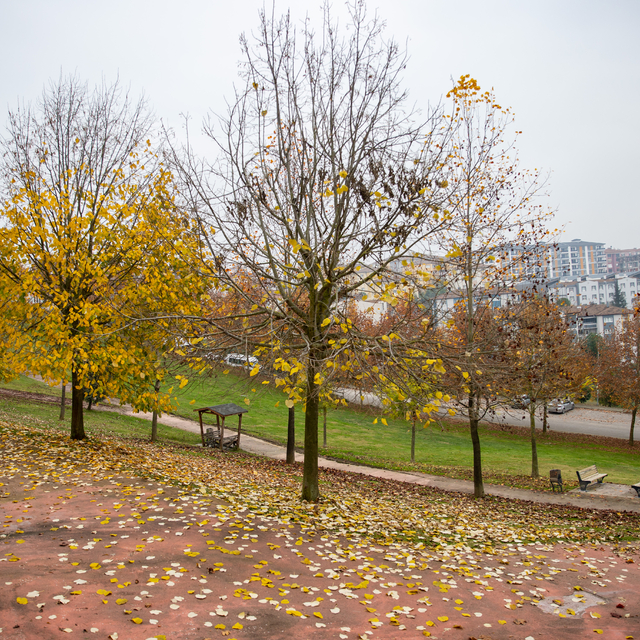 Sakarya kent merkezindeki parklar güz renkleriyle hareketlendi