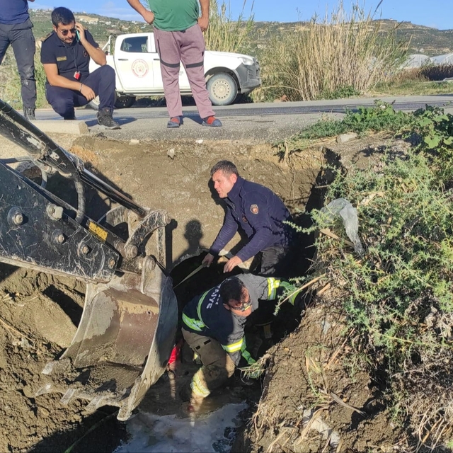 Su tahliye borusuna sıkışan 2 yavru köpek kurtarıldı