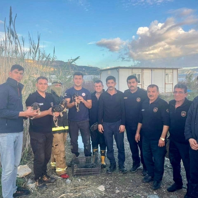 Hatay'da yağmur suyu giderinde mahsur kalan köpek yavrularını itfaiye ekipl...