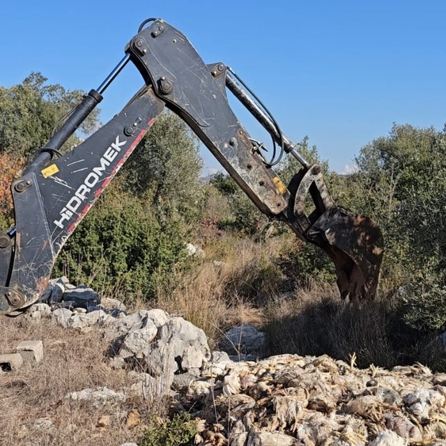 Mersin'de yem tedariki yapılmadığı ileri sürülen çiftlikteki tavuklar telef...