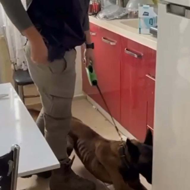 Buzdolabındaki uyuşturucuyu narkotik köpeği 'Fırtına' buldu