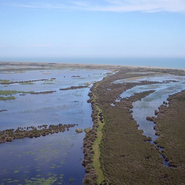 Kızılırmak Deltası'ndaki istilacı ve yabancı türler araştırılıyor