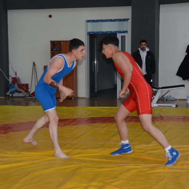 Bitlis'te okullar arası güreş müsabakaları yapıldı