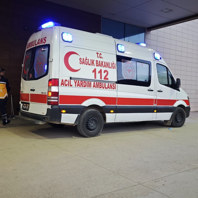 Bursa'da budadığı ağaçtan düşen kişi yaralandı