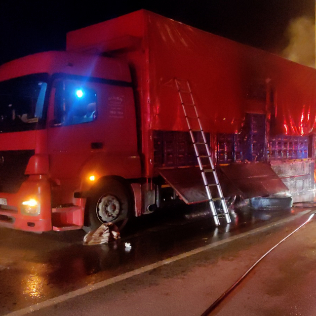 Bursa'da domates yüklü kamyonda çıkan yangın söndürüldü