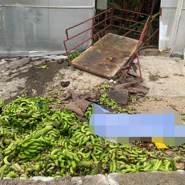 Alanya'da muz serasındaki raylı sistemden düşen 2 kişi öldü, 2 kişi yaralan...