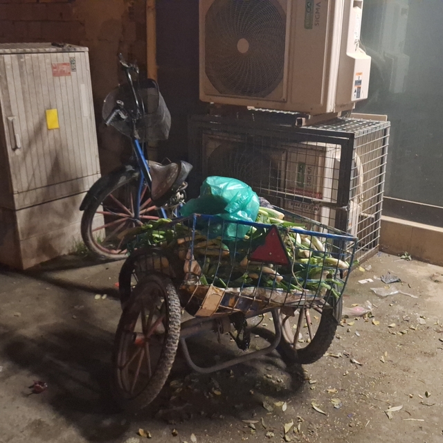 Samsun'da otomobilin çarptığı üç tekerlekli bisiklet sürücüsü yaralandı