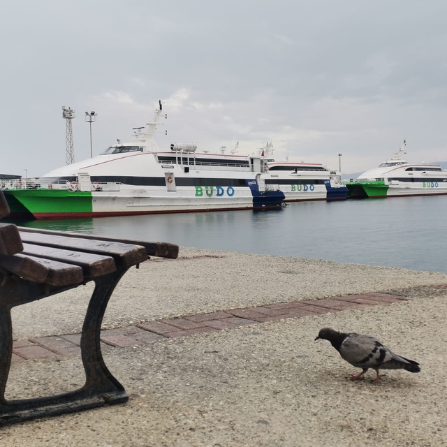 Bursa Deniz Otobüsleri seferlerinin tamamı iptal edildi