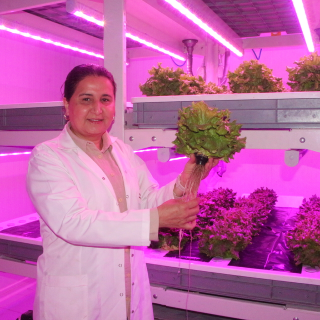 Bitki yetiştiriciliğinde afetlere ve iklim değişikliğine karşı çözüm; bitki...