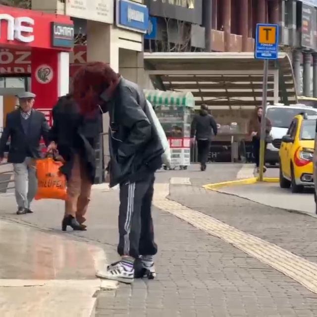 Bursa'da lodos yaşamı olumsuz etkiledi