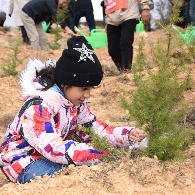 "81 İlde 81 Orman" Projesi kapsamında Konya'da fidanlar toprakla buluşturul...