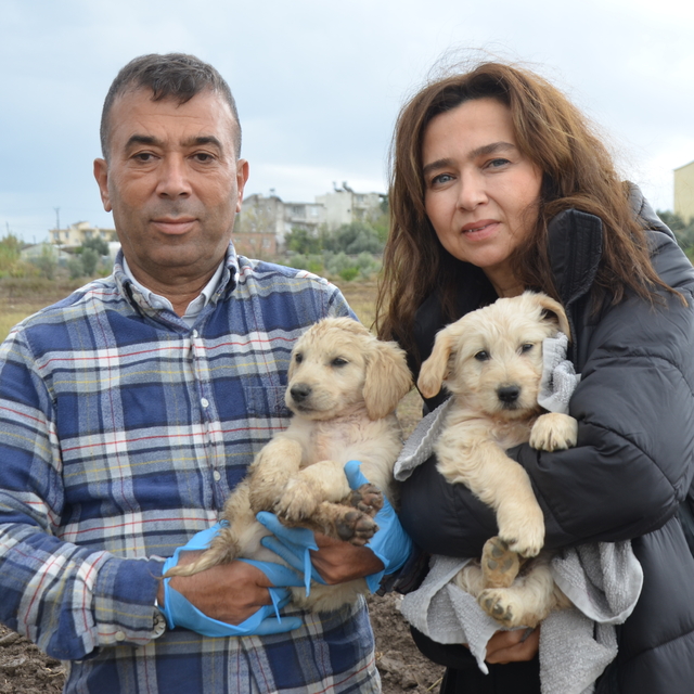 Öldürülen köpeğin bir yavrusu daha sağ bulundu
