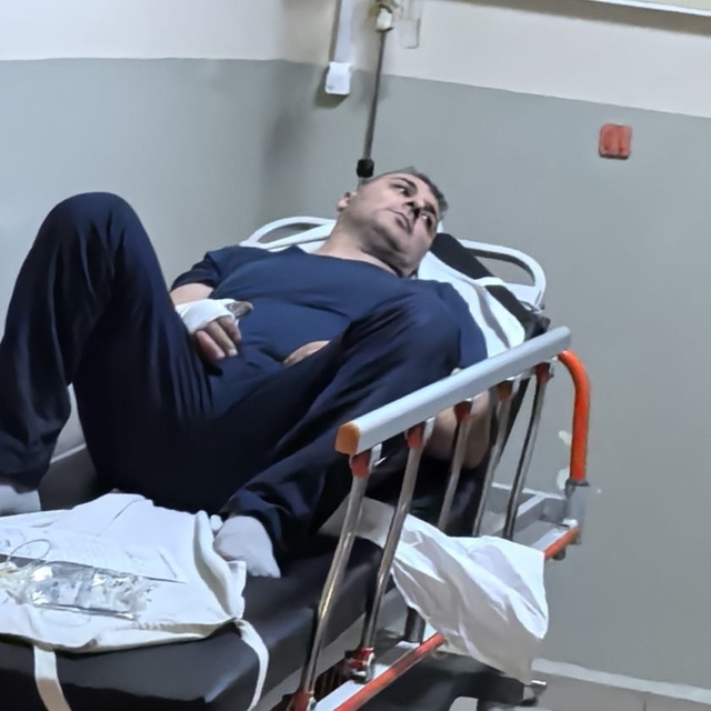 Bursa'da lodos yaşamı olumsuz etkiledi (4)