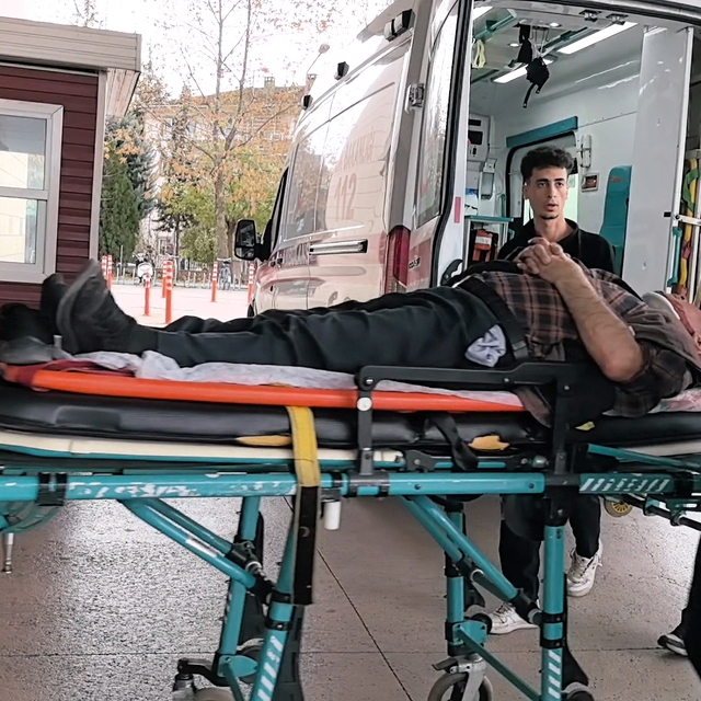 Bursa'da lodos yaşamı olumsuz etkiledi (5)