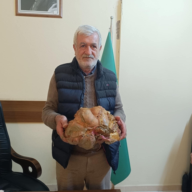 Hatay'da bir üreticinin bahçesinden 7 kilo 225 gramlık tatlı patates çıktı