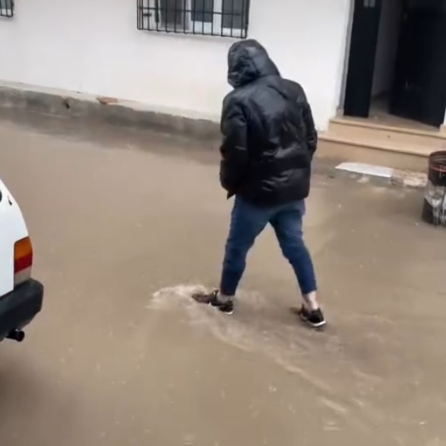 Bursa'da lodos yaşamı olumsuz etkiledi (6)