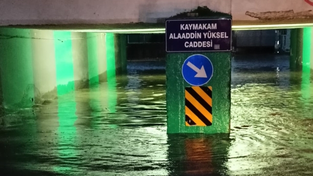 Sağanak yağış ve rüzgar nedeniyle ağaç devrildi, altgeçidi su bastı
