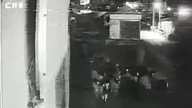 Besicinin 90 koyununu 1 dakikada çaldılar