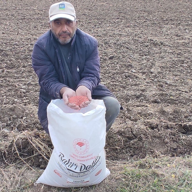 Pazar ilçesinde ekmeklik buğday ekimi yapıldı