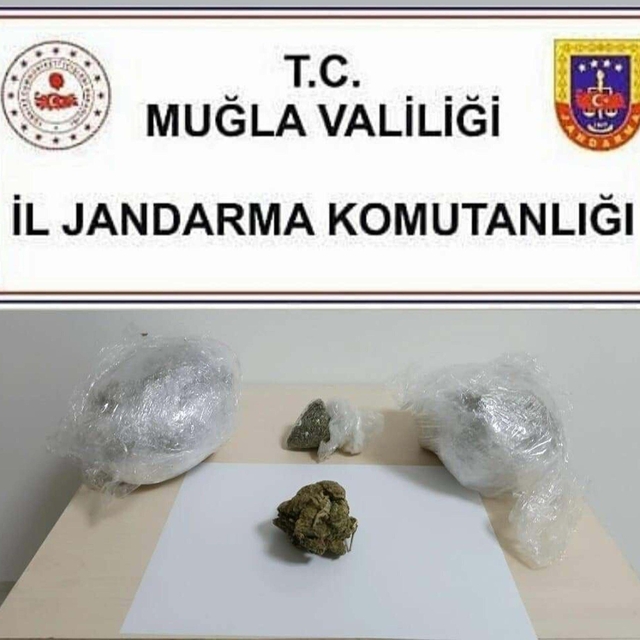 Ormanda 1 kilo skunk ele geçirildi; 3 gözaltı