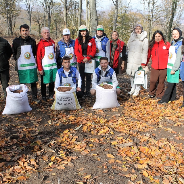 Manyaslı gençler kayın ağacı tohumlarını toprakla buluşturdu