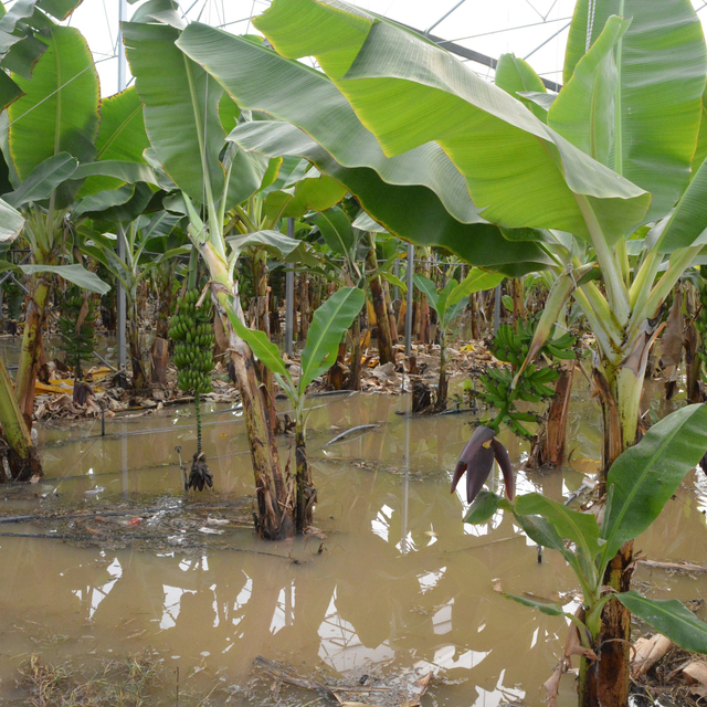 Antalya'da su basan yerlerde temizlik ve tahliye çalışması (2)