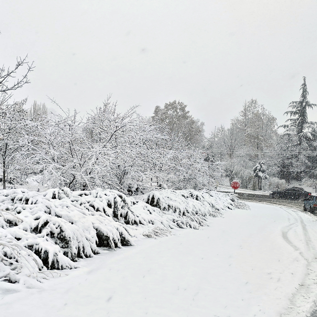 Bursa-Ankara kara yolunda kar etkili oluyor