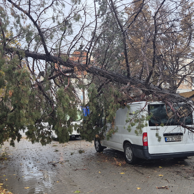 Turgutlu'da minibüsün üzerine devrilen ağaç hasara neden oldu