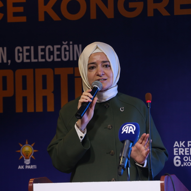 AK Parti Genel Başkan Yardımcısı Kaya, Sakarya'da partisinin ilçe kongreler...